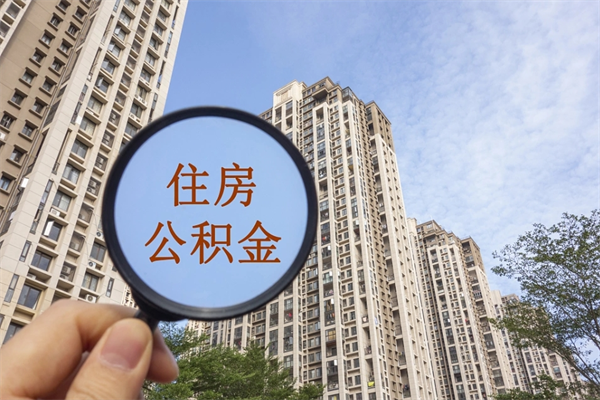河南怎么把公积金全部取出来（如何将公积金全部取出）